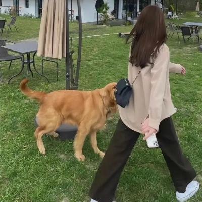 双面玛丽莲梦露