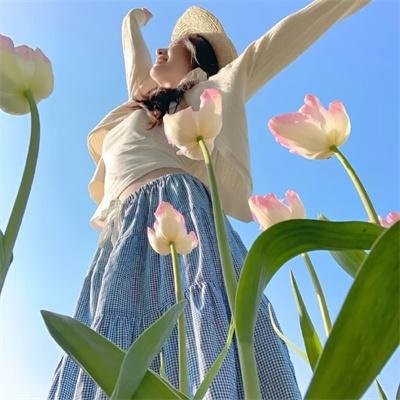 飞行之翼